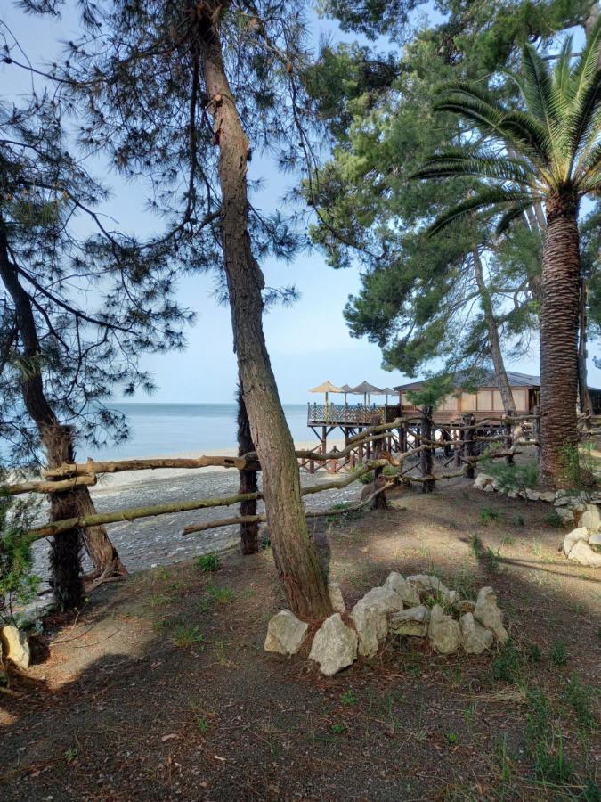 Гостевой Дом Фазенда Ξενοδοχείο Πιτσούντα Εξωτερικό φωτογραφία